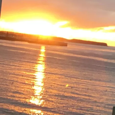 Sounds Of The Sea